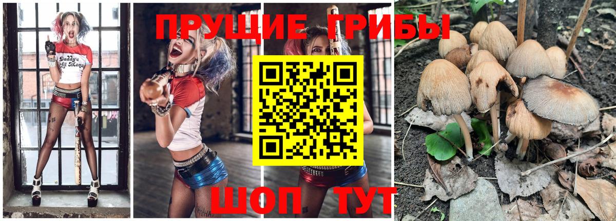наркота  Вход с VPN  Галлюциногенные грибы Psilocybine cubensis  Фролово  Псилоцибиновые грибы ЛСД 